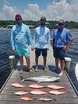 King Mackerel, Red Snappers, Scamp, and a Mangrove