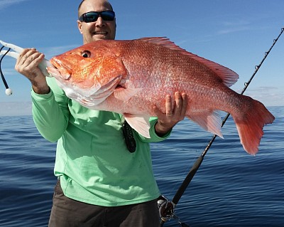 Nearshore Red Snapper Pensacola Beach in the Gulf of Mexico