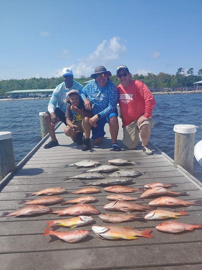 Mangrove Snappers in Pensacola Florida