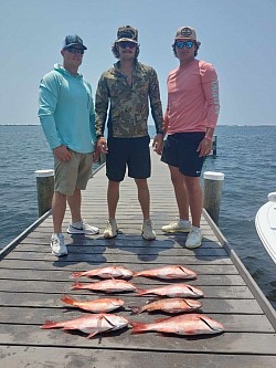 Red Snapper Navarre Florida