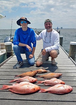 Mangroves and Red Snappers