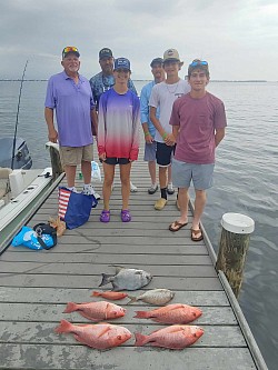 Red Snappers, White Porgy, Mingo, and a Spadefish