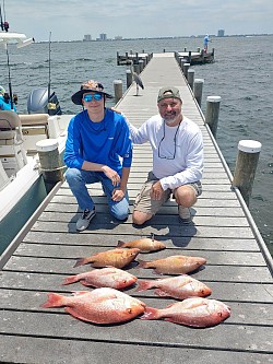 Red Snapper and Mangroves