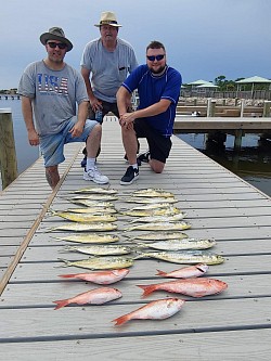 Mahi Mahi and Mingos