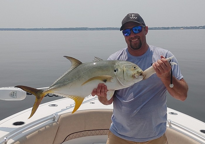 Jacks in Pensacola Bay