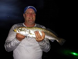 Speckled Trout